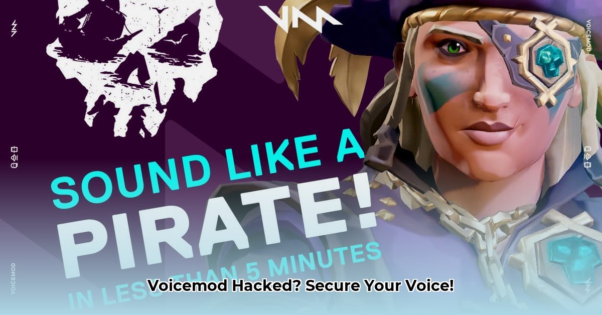 cracked-voicemod